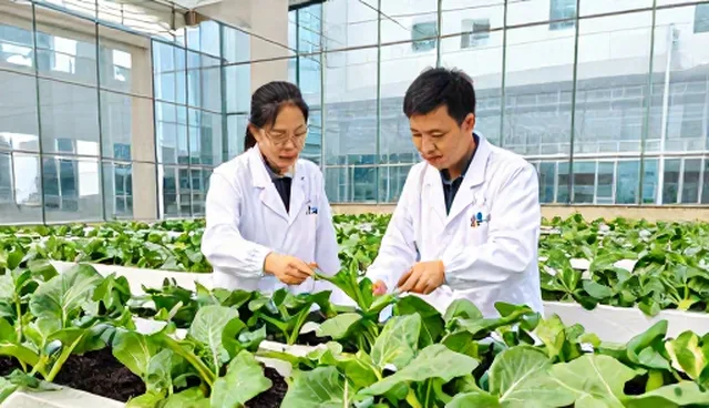 农资保鲜技术应用中的选型与维护建议